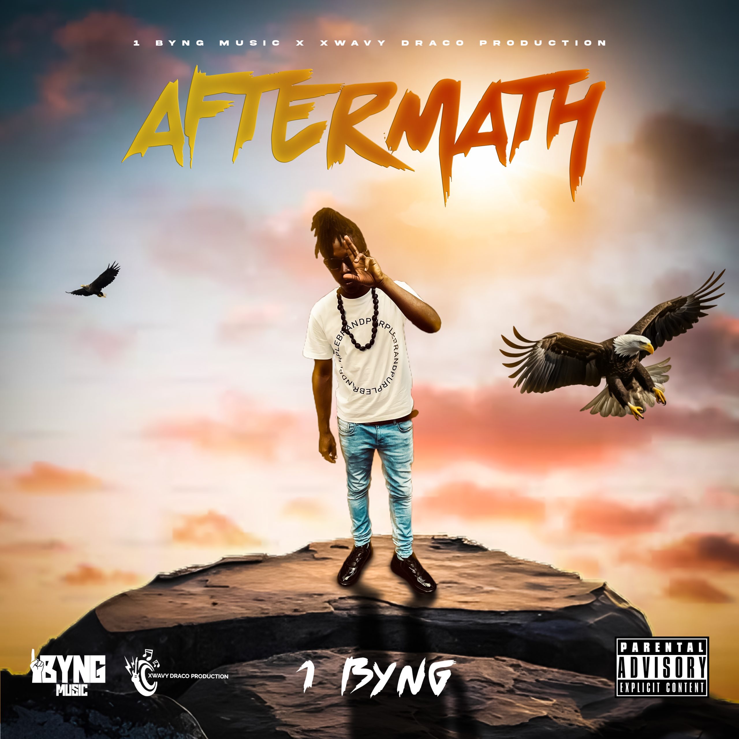 Aftermath Cover Art